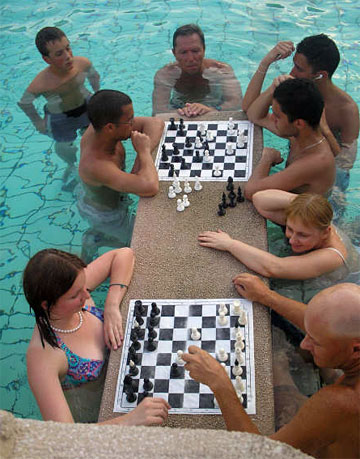 Why people play chess with themselves? - Chess Forums 