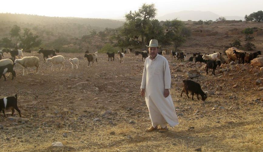 Boukdeir and goats