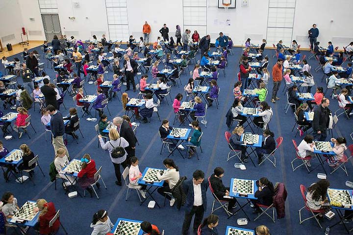 How to prepare your openings with Opening Tree - Camberley Chess Club