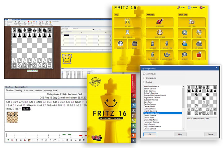 fritz chess database