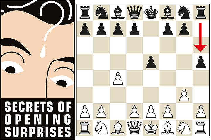 Chess Opening Secrets Revealed*: Chess: Understanding the Modern
