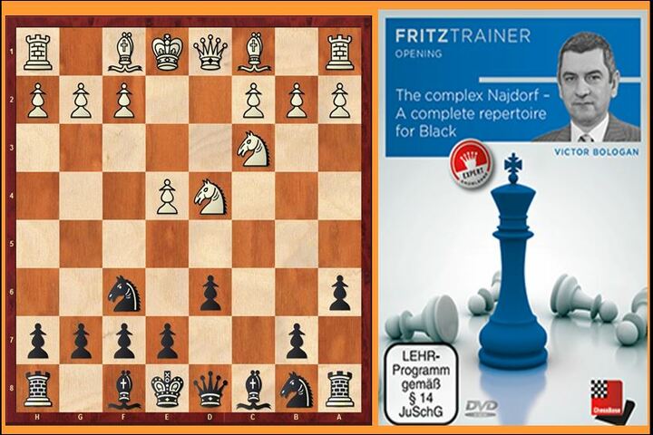 Sicilian Defense Open Najdorf Variation Unique Gifts for Chess Players –  VigaVictor