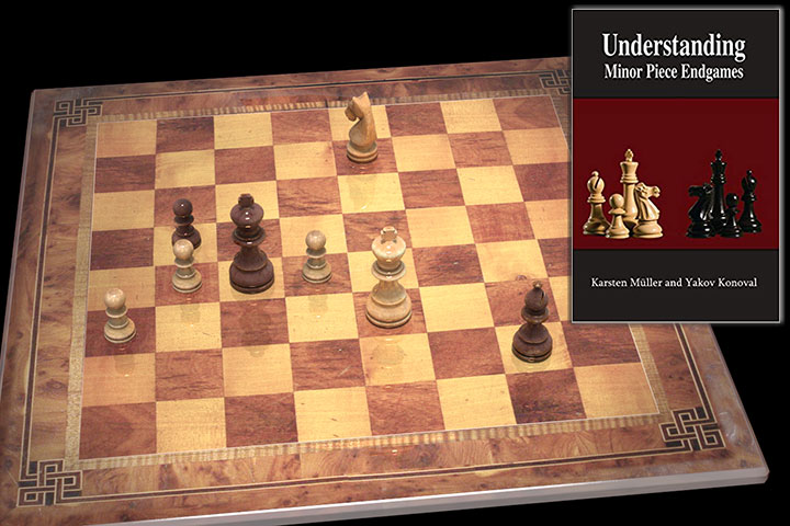 Understanding Rook vs. Minor Piece Endgames (Understanding Chess Endgames):  Müller, Karsten, Konoval, Yakov, Fishbein, Alex: 9781949859119: :  Books