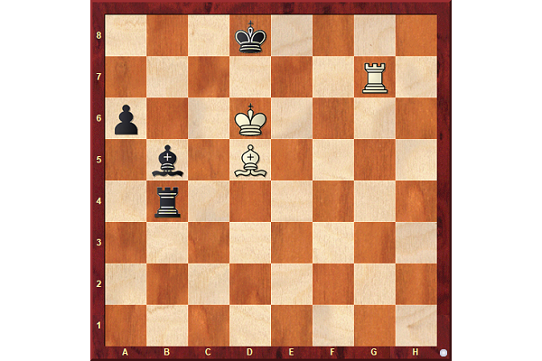 Rook Checks Or Switches Chessbase