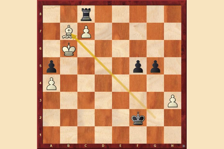 live chessbase