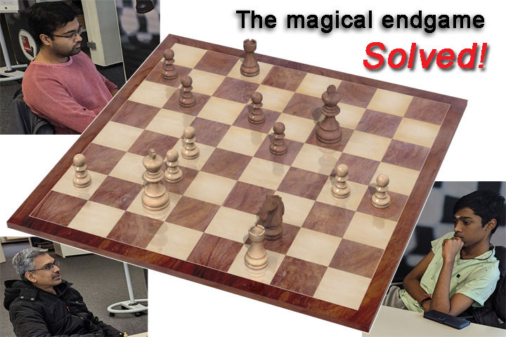 E-DVD - Rook Endgames - Chess Lecture - Volume 51