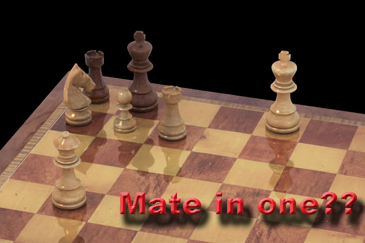 King's Bizarre Chess Match : r/memes