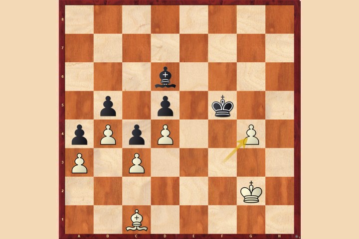 7 Chess Endgame Magicians 