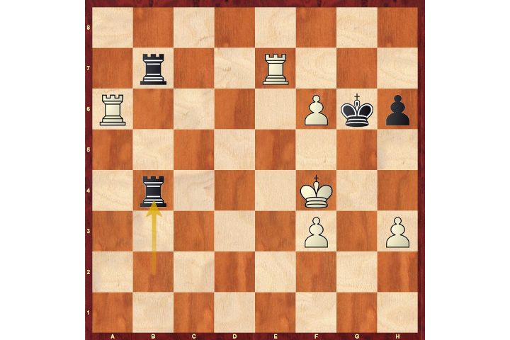 Double check the check | ChessBase