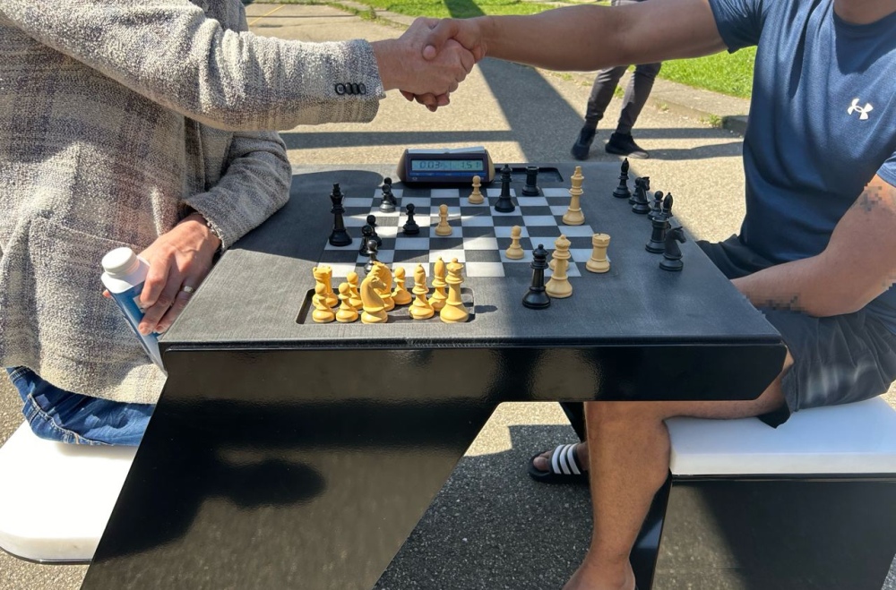 Chess for freedom