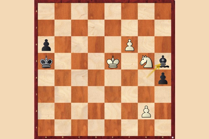 Knight against rook's pawn | ChessBase