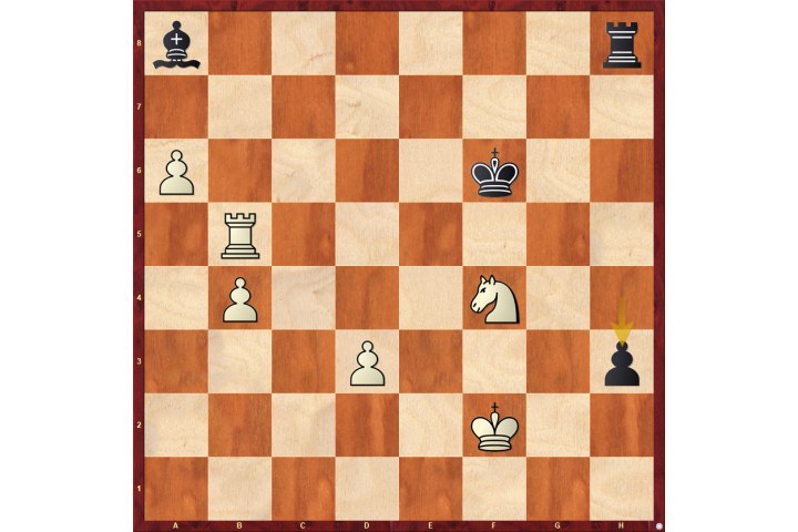 A good knight | ChessBase