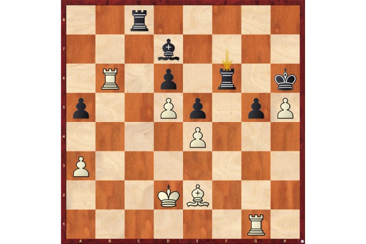 Pin and win | ChessBase