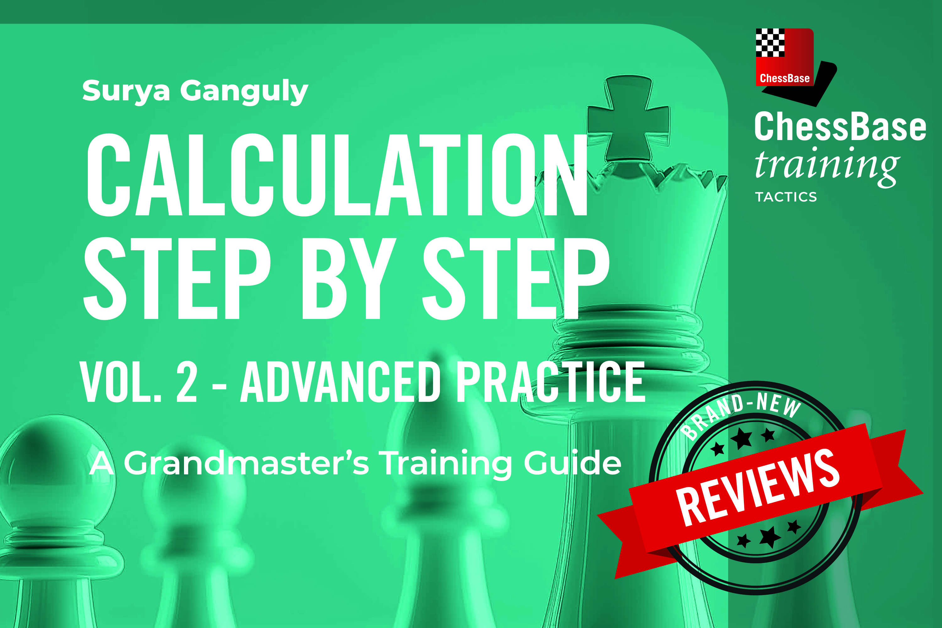 Review: "Calculation Step by Step Vol. 1" by Surya Ganguly