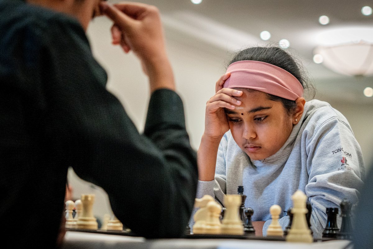 Chess news — Record-breaking British Chess Championships set to begin in Coventry