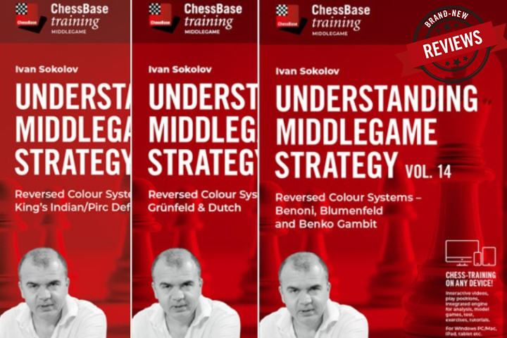 Review of Ivan Sokolov's Understanding Middlegame Strategies - Part 3