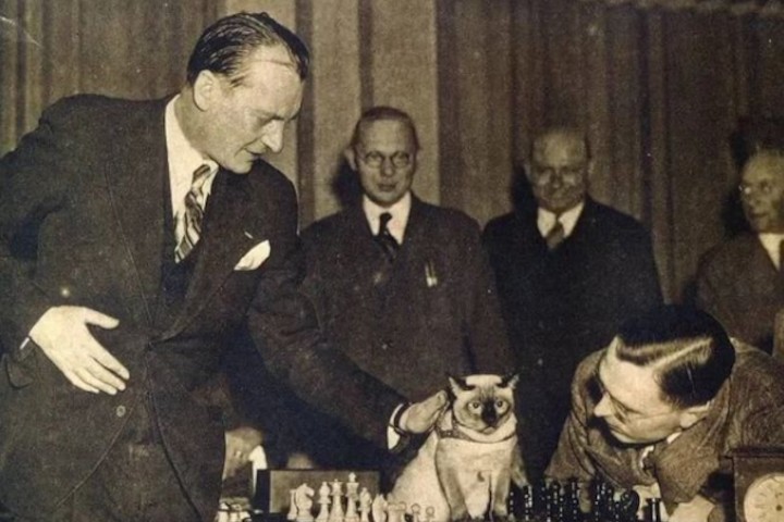 Exploring Superstitions Among Chess Players