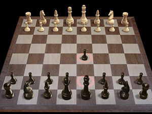 Download Kasparov Team Mate Manual