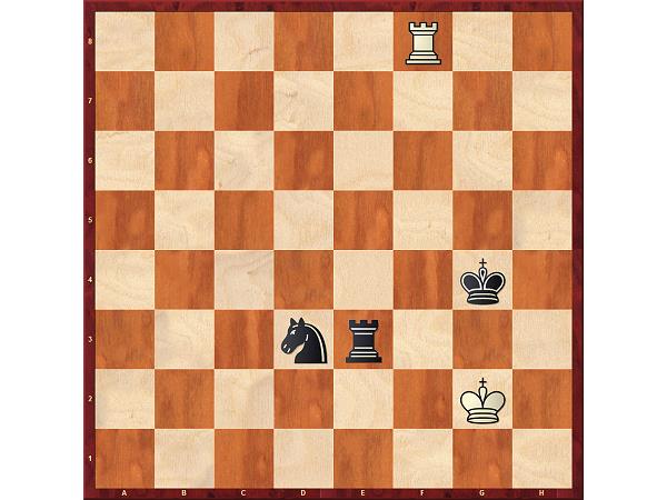 King and Rook Endgame - The Chess Website