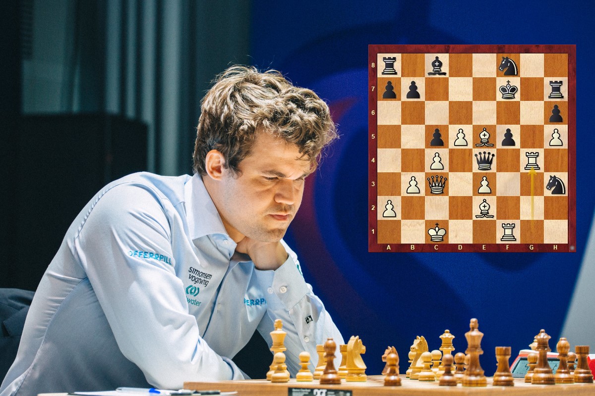 If Magnus Carlsen hadn't played chess professionally, does he have